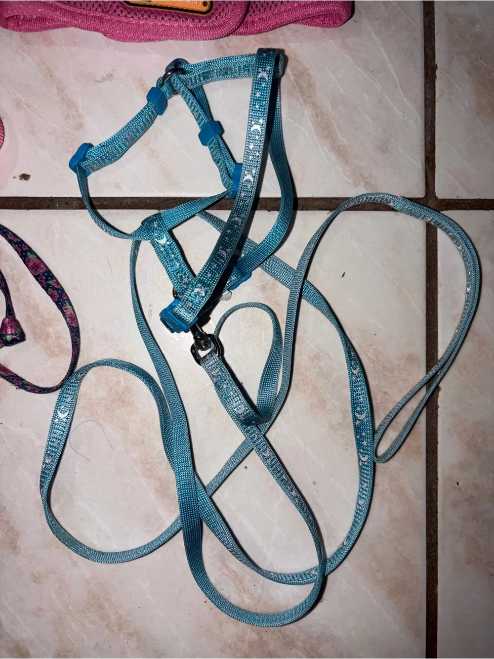 Dog walker dog accessories